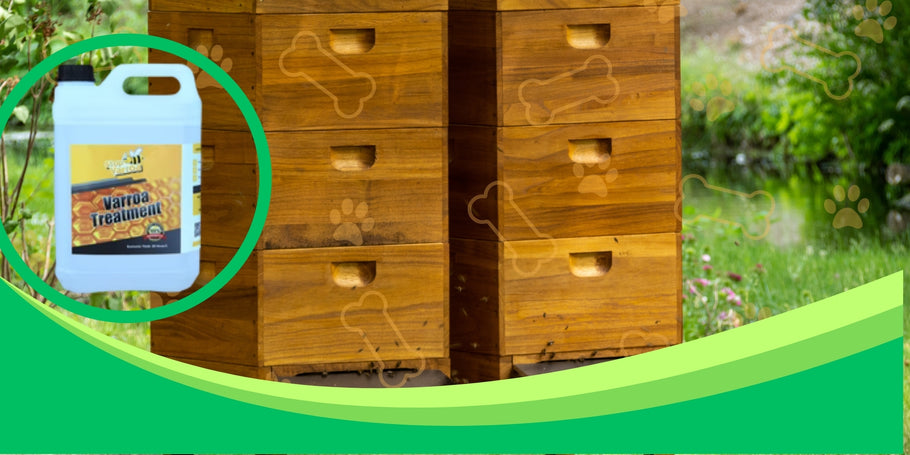 How do you choose the best Varroa mite control method for your situation?